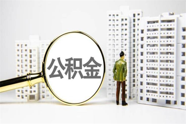五指山离职公积金提出来（离职的公积金提出来有时间要求吗）